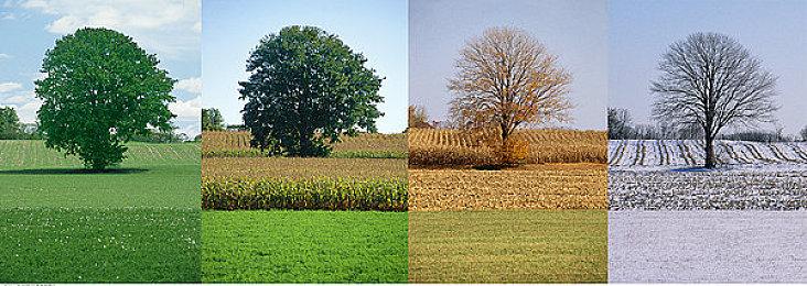 《壁虎之神》试玩版登陆Steam 跳票两年后终将发售