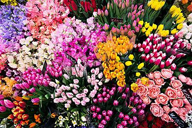 外媒专访《羊蹄山之魂》制作人 深入探讨开发理念